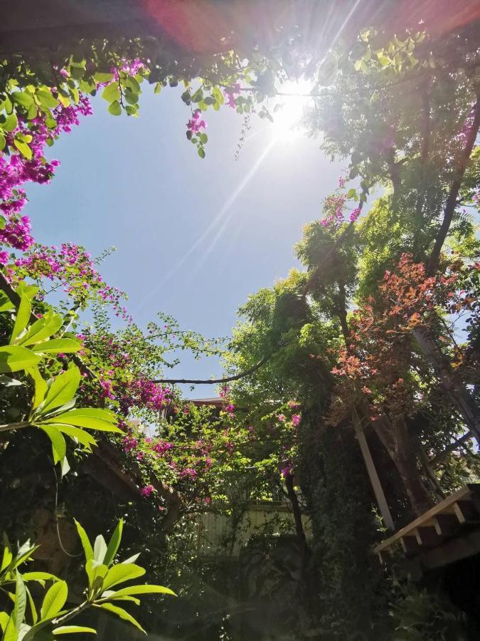 Dear B&B Тайнань Экстерьер фото