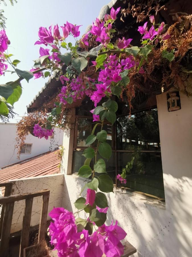 Dear B&B Тайнань Экстерьер фото